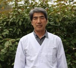 代表あいさつの外観